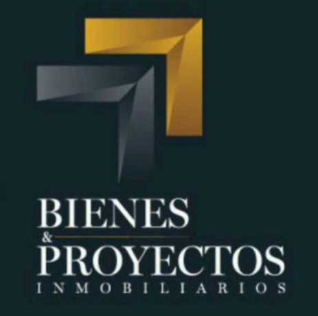 BIENES Y PROYECTOS INMOBILIARIOS S.A.S 